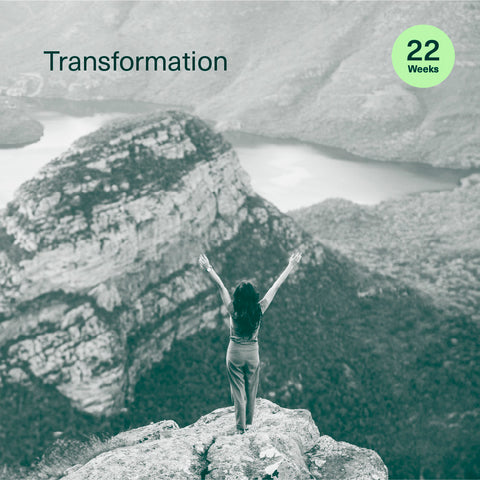 Transformation - 22 week programme